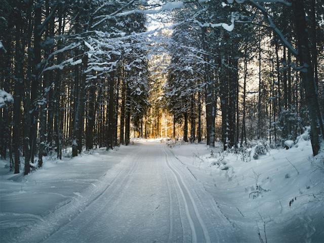 Imagini de iarna pentru desktop