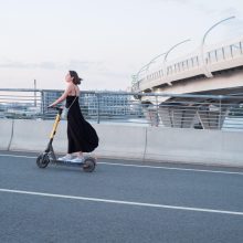 Deratizarea: Când este necesară și ce metode sunt cele mai eficiente?